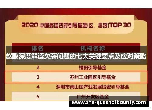 赵鹏深度解读欠薪问题的七大关键要点及应对策略